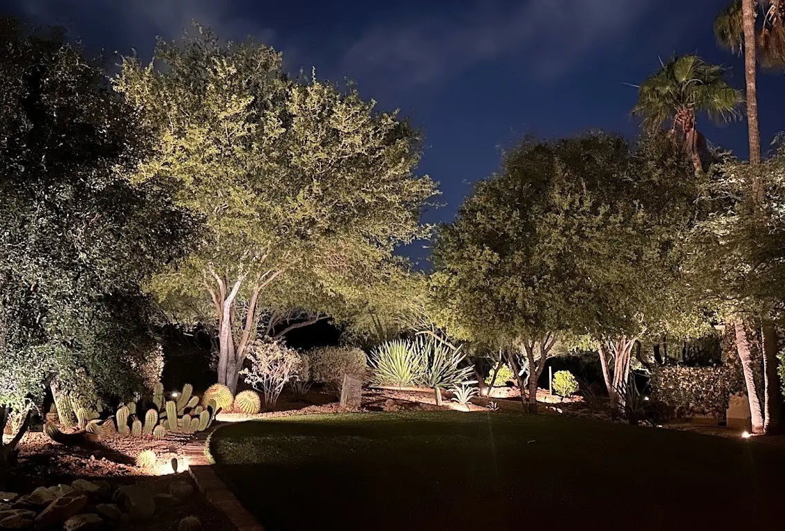 Landscape lighting after dark illuminating mature trees, cacti, and a lawn at a Paradise Valley property