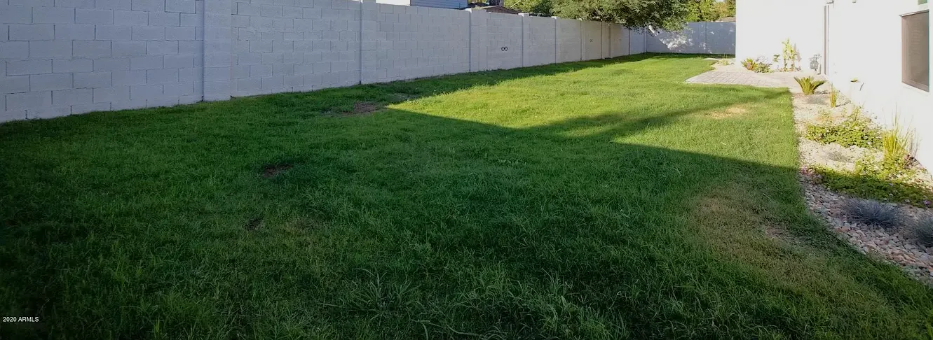 Camelback landscape before the transformation