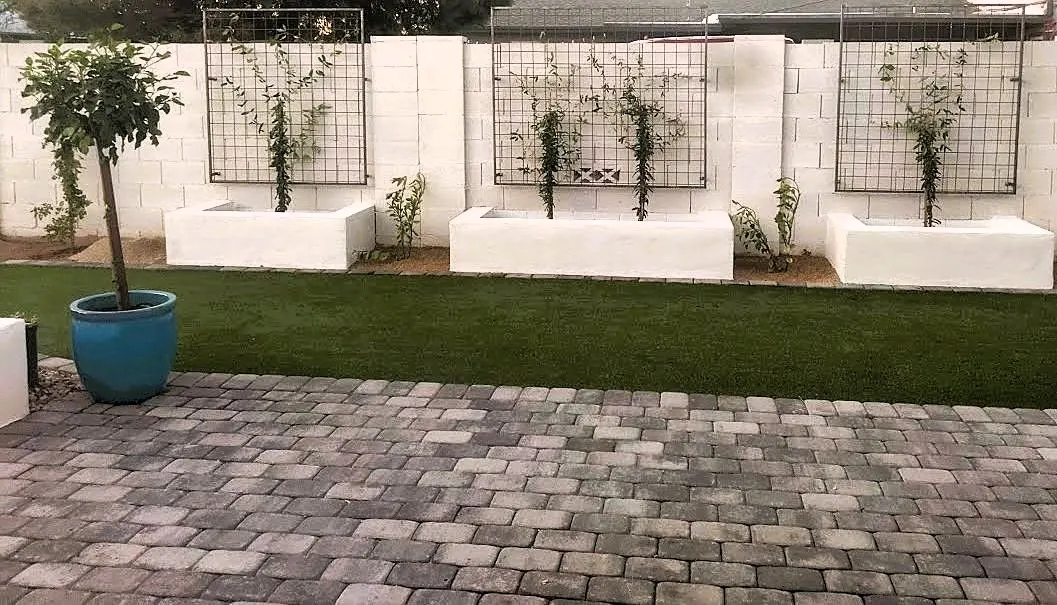 Camelback landscape after the transformation