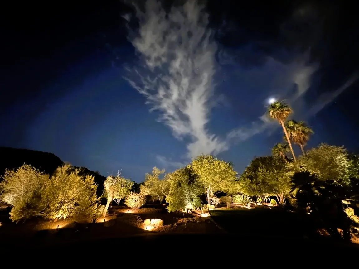 Landscape lighting creating warm nighttime depth through the garden
