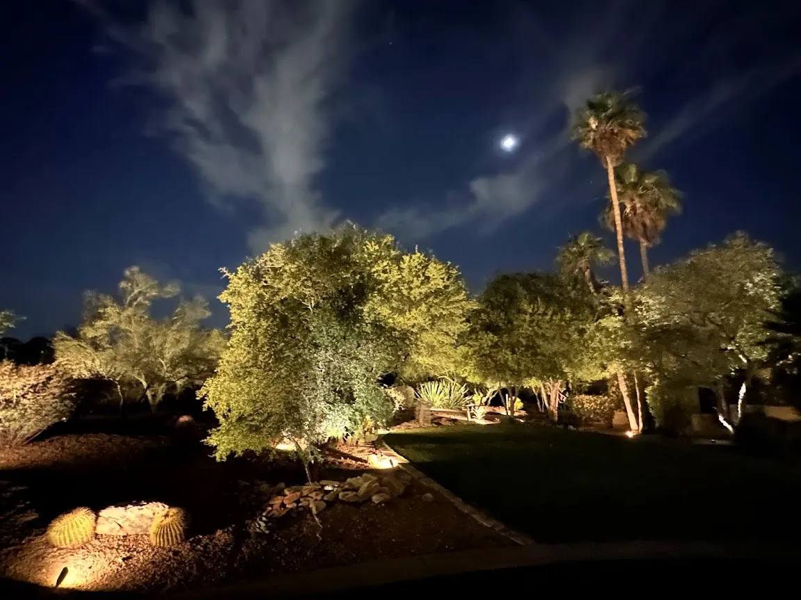 Finished outdoor lighting focused across mature planting and landscape details