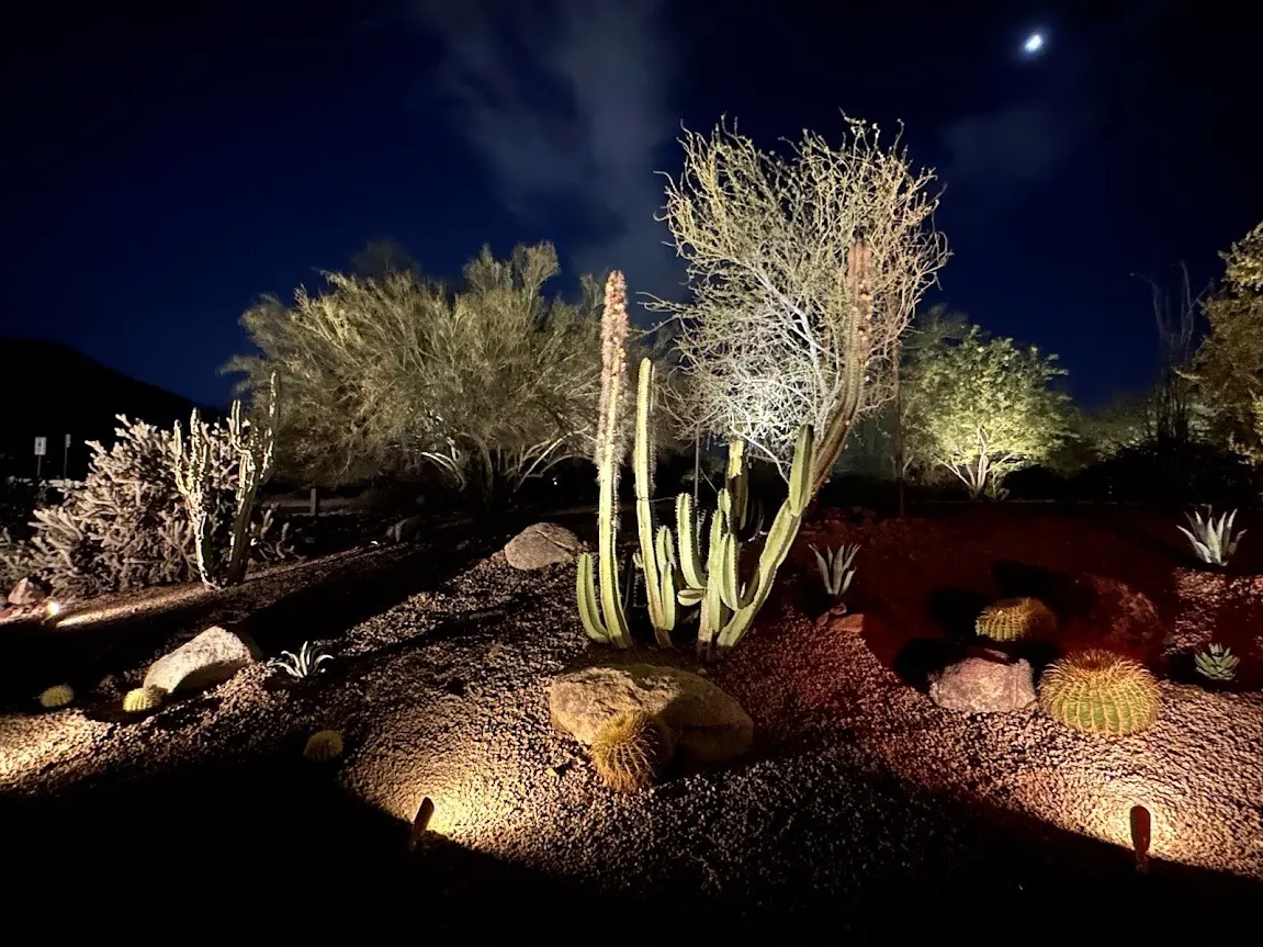Low-voltage landscape lighting defining paths, planting, and outdoor spaces after dark