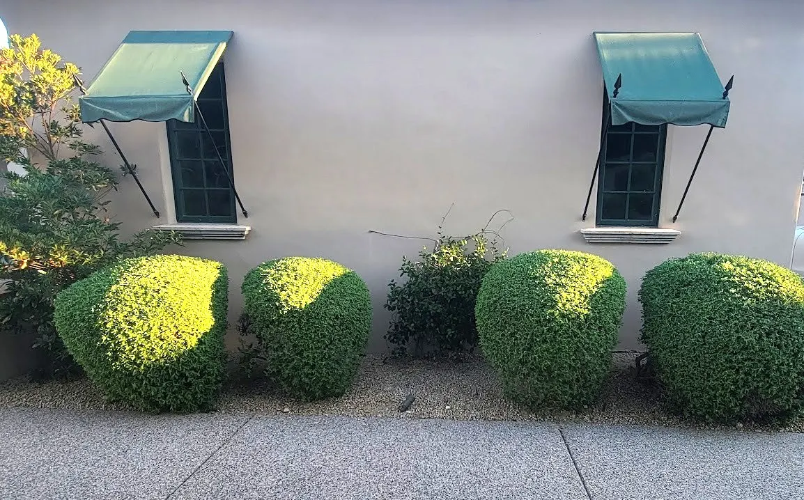 Paradise Valley Country Estates north garage landscape before the transformation