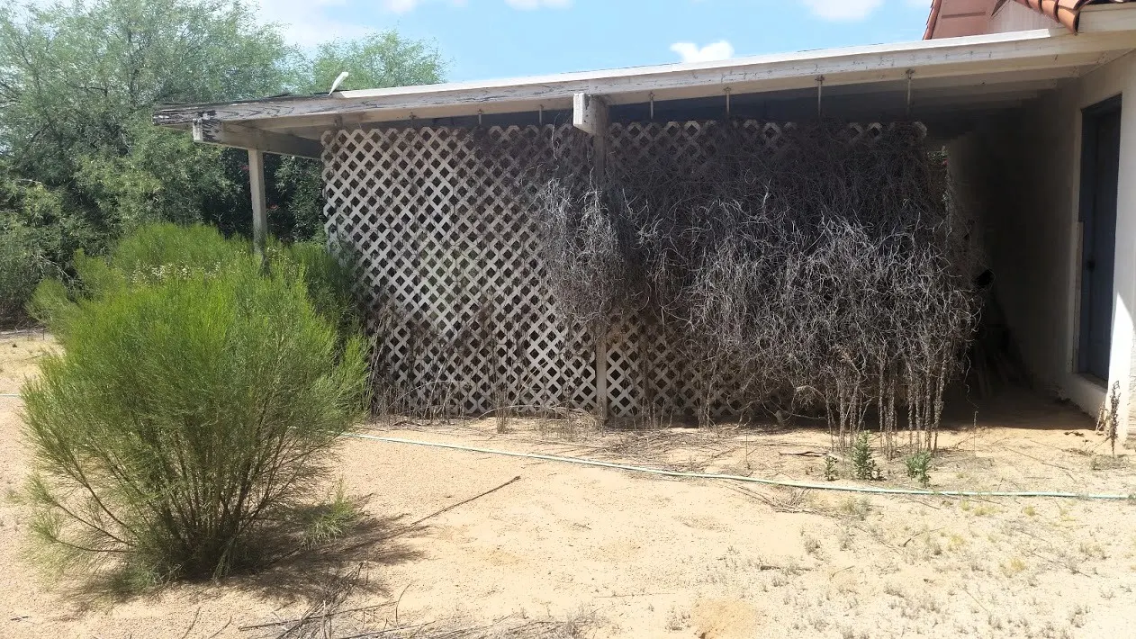 Paradise Valley French Garden potting shed before the renovation