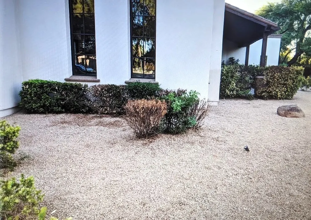 Paradise Valley Retreat side yard before the transformation